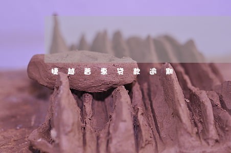 捷越普惠贷款逾期 捷越普惠贷款逾期