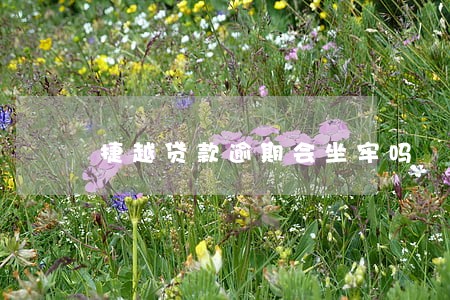 捷越贷款逾期会坐牢吗