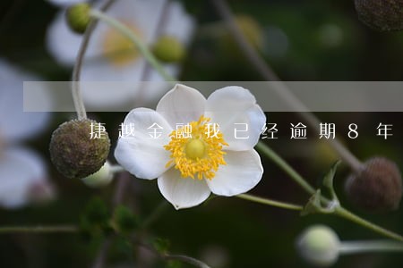捷越金融我已经逾期8年 捷越金融我已经逾期8年