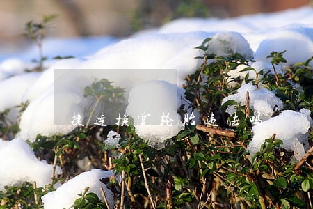 捷达换宽轮胎违法吗 捷达换宽轮胎违法吗