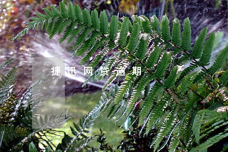 捷迅网贷逾期 捷迅网贷逾期