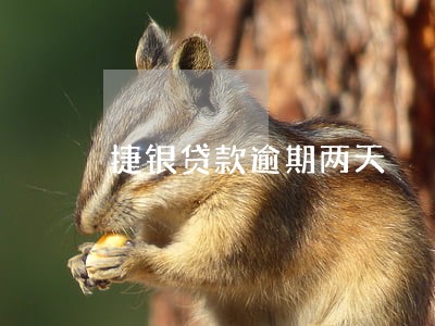 捷银贷款逾期两天 捷银贷款逾期两天