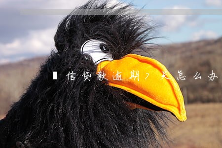捿信贷款逾期7天怎么办