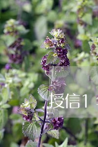 授信1年征信逾期一个月 授信1年征信逾期一个月