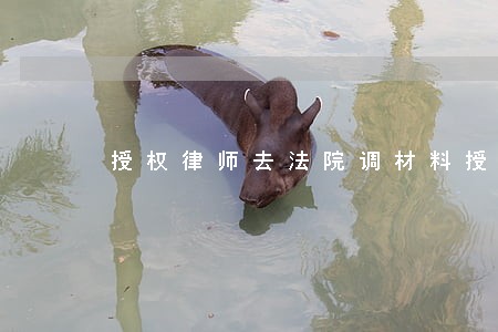 授权律师去法院调材料授权书