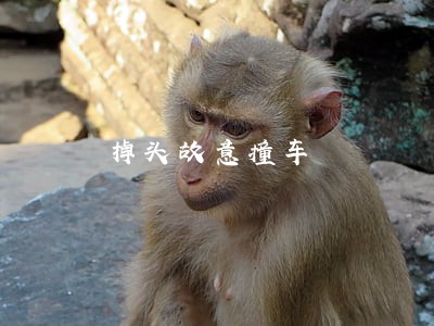 掉头故意撞车 掉头故意撞车