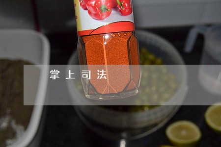 掌上司法