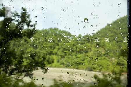 掌上银行信用卡逾期不显示