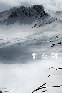 掌众财富闪电借款逾期 掌众财富闪电借款逾期