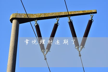 掌悦理财逾期了 掌悦理财逾期了