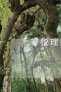掌悦理财逾期全国总群 掌悦理财逾期全国总群