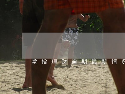 掌指理财逾期最新情况 掌指理财逾期最新情况