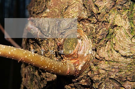 掌掌悦理财逾期 掌掌悦理财逾期