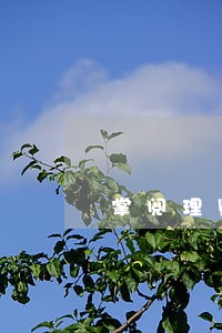 掌阅理财逾期内幕 掌阅理财逾期内幕