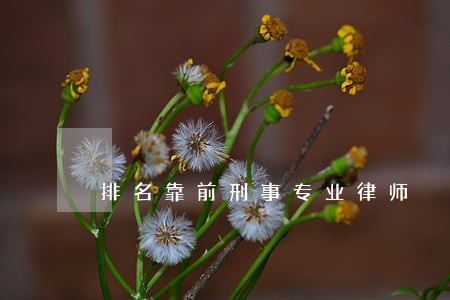 排名靠前刑事专业律师 排名靠前刑事专业律师