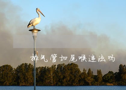 排气管加尾喉违法吗