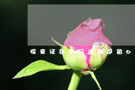 探亲证在澳门逾期逗留6天会怎样 探亲证在澳门逾期逗留6天会怎样