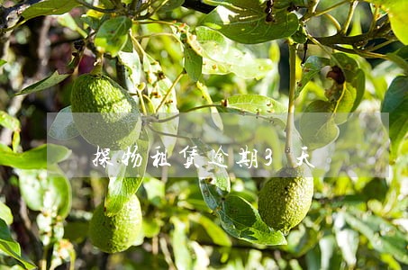 探物租赁逾期3天 探物租赁逾期3天