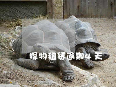 探物租赁逾期4天