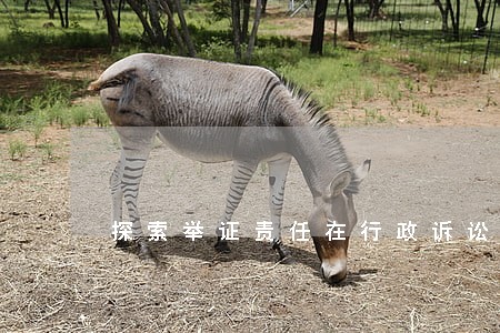 探索举证责任在行政诉讼中的分配 探索举证责任在行政诉讼中的分配