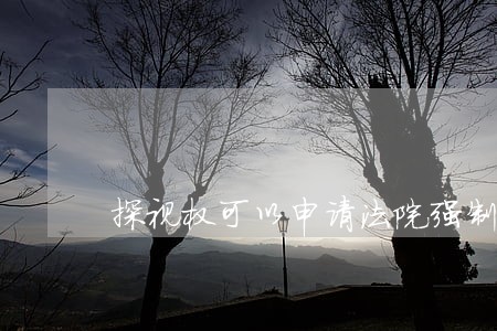 探视权可以申请法院强制执行 探视权可以申请法院强制执行