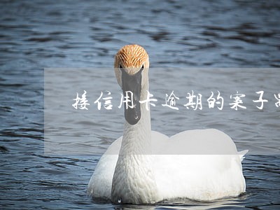 接信用卡逾期的案子需要投标吗 接信用卡逾期的案子需要投标吗