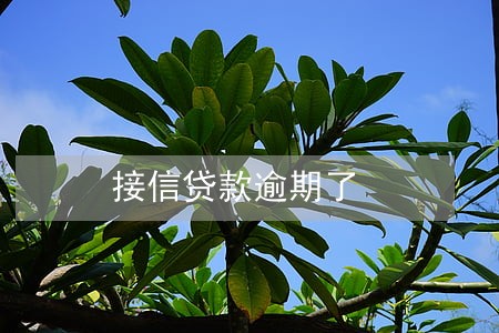 接信贷款逾期了 接信贷款逾期了