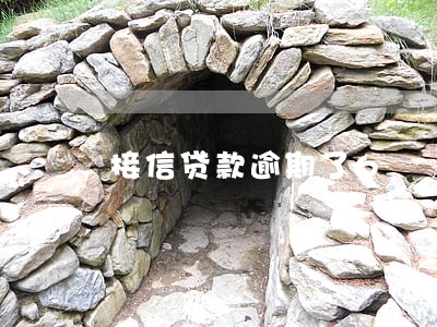 接信贷款逾期了6 接信贷款逾期了6