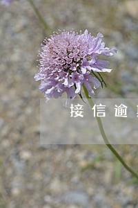 接信逾期20天会怎么样
