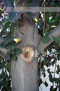 接到信用卡逾期彩信 接到信用卡逾期彩信
