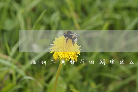 接到工商银行逾期短信立马还款了 接到工商银行逾期短信立马还款了