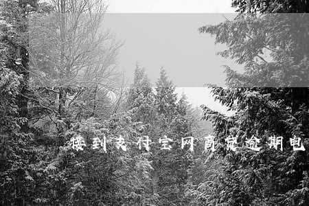 接到支付宝网商贷逾期电话 接到支付宝网商贷逾期电话