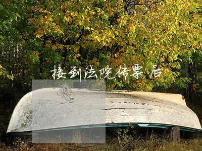 接到法院传票后 接到法院传票后
