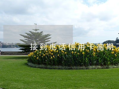 接到电话信用卡逾期了