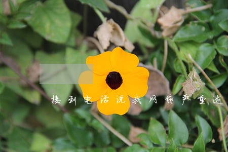 接到电话说我网贷严重逾期了 接到电话说我网贷严重逾期了