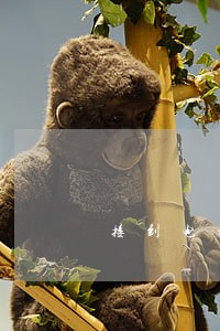 接到电话说是房贷逾期8月未还 接到电话说是房贷逾期8月未还