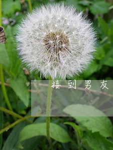接到男友信用卡逾期电话