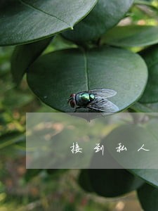 接到私人电话说信用卡逾期