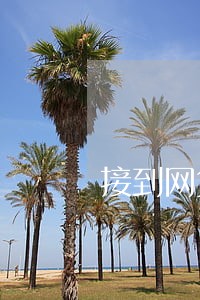 接到网贷诈骗电话说我逾期 接到网贷诈骗电话说我逾期