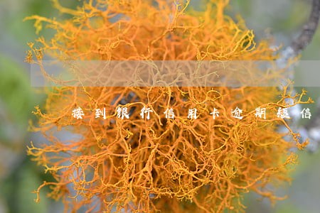 接到银行信用卡逾期短信怎么办 接到银行信用卡逾期短信怎么办