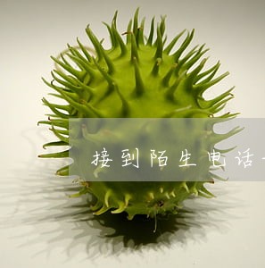 接到陌生电话说我贷款逾期 接到陌生电话说我贷款逾期