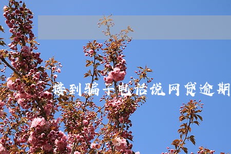 接到骗子电话说网贷逾期 接到骗子电话说网贷逾期