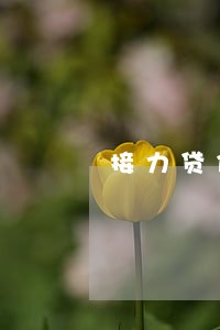 接力贷信用卡逾期 接力贷信用卡逾期