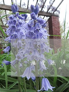 接受法律咨询服务开展 接受法律咨询服务开展