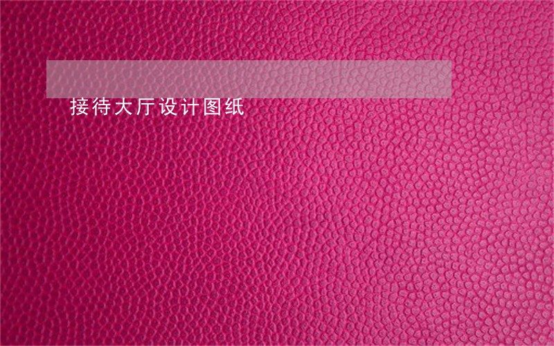 接待大厅设计图纸 接待大厅设计图纸