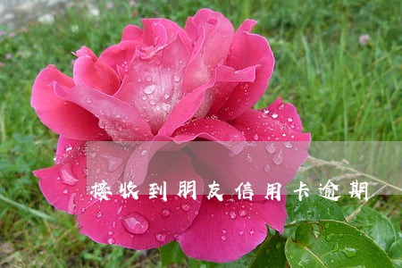 接收到朋友信用卡逾期 接收到朋友信用卡逾期
