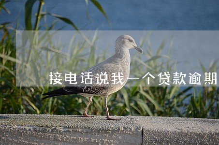 接电话说我一个贷款逾期一天 接电话说我一个贷款逾期一天