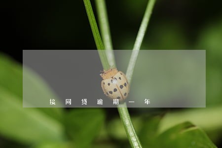 接网贷逾期一年 接网贷逾期一年