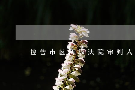 控告市区两级法院审判人员 控告市区两级法院审判人员