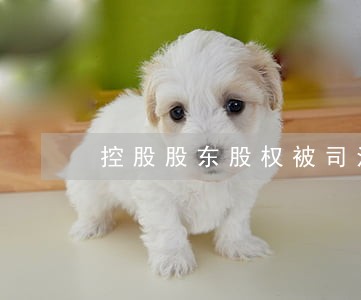 控股股东股权被司法拍卖是利空吗